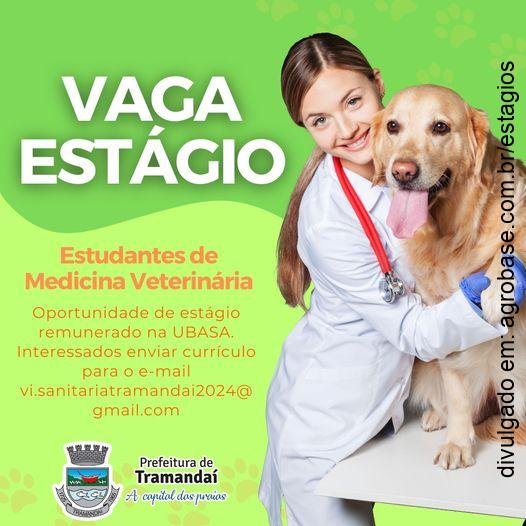 02 vagas estágio remunerado Pref. Tramandaí/RS