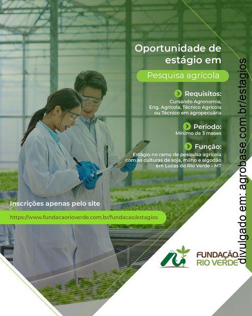 Estágio na área de pesquisa agrícola – Lucas do Rio Verde/MT
