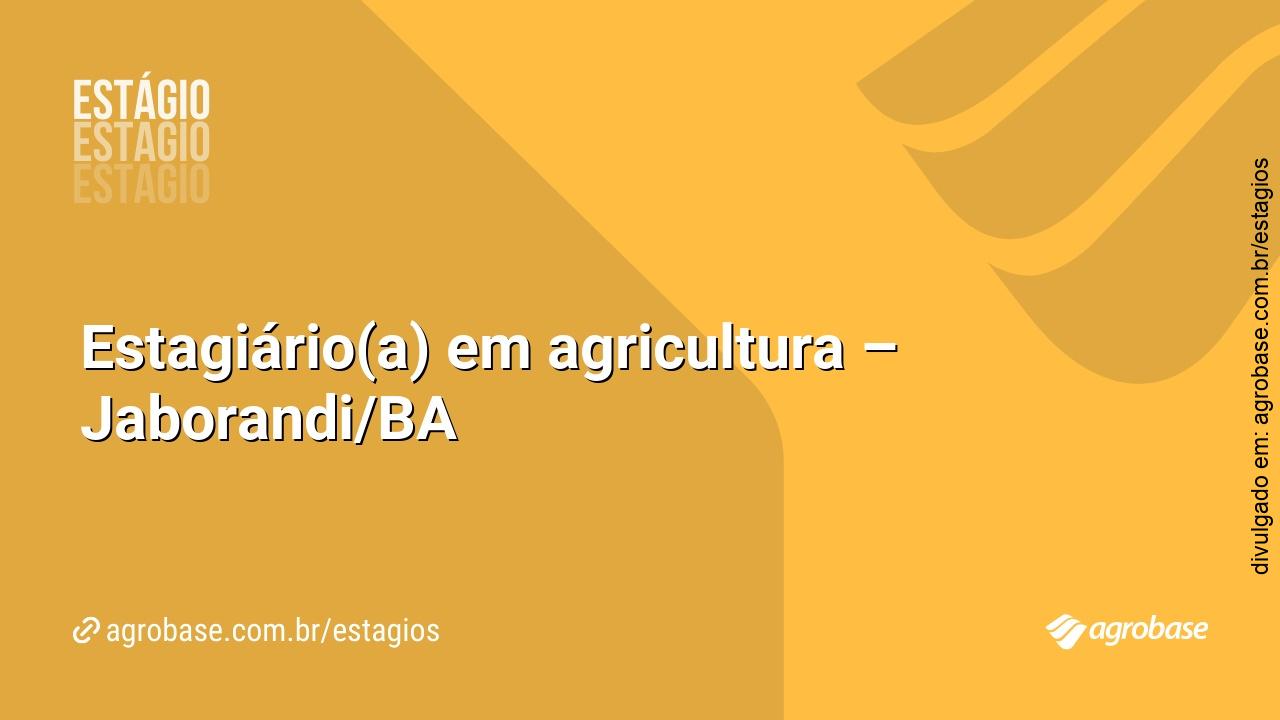 Estagiário(a) em agricultura – Jaborandi/BA