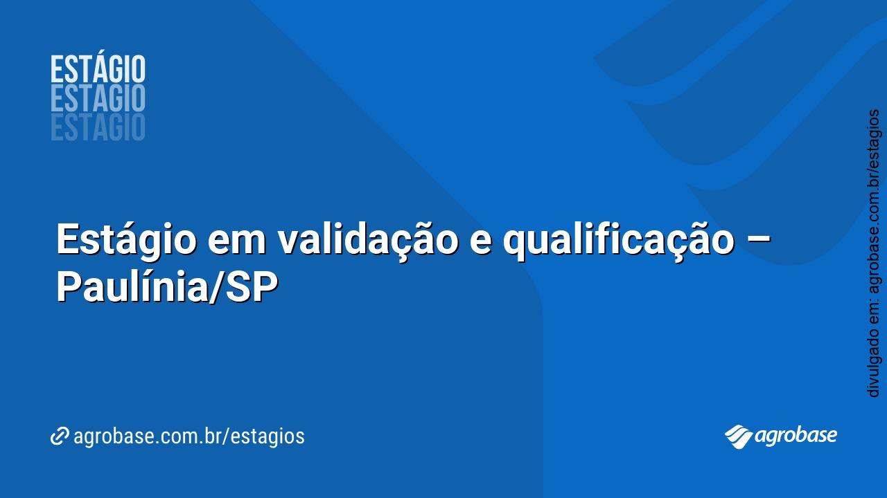 Estágio em validação e qualificação – Paulínia/SP