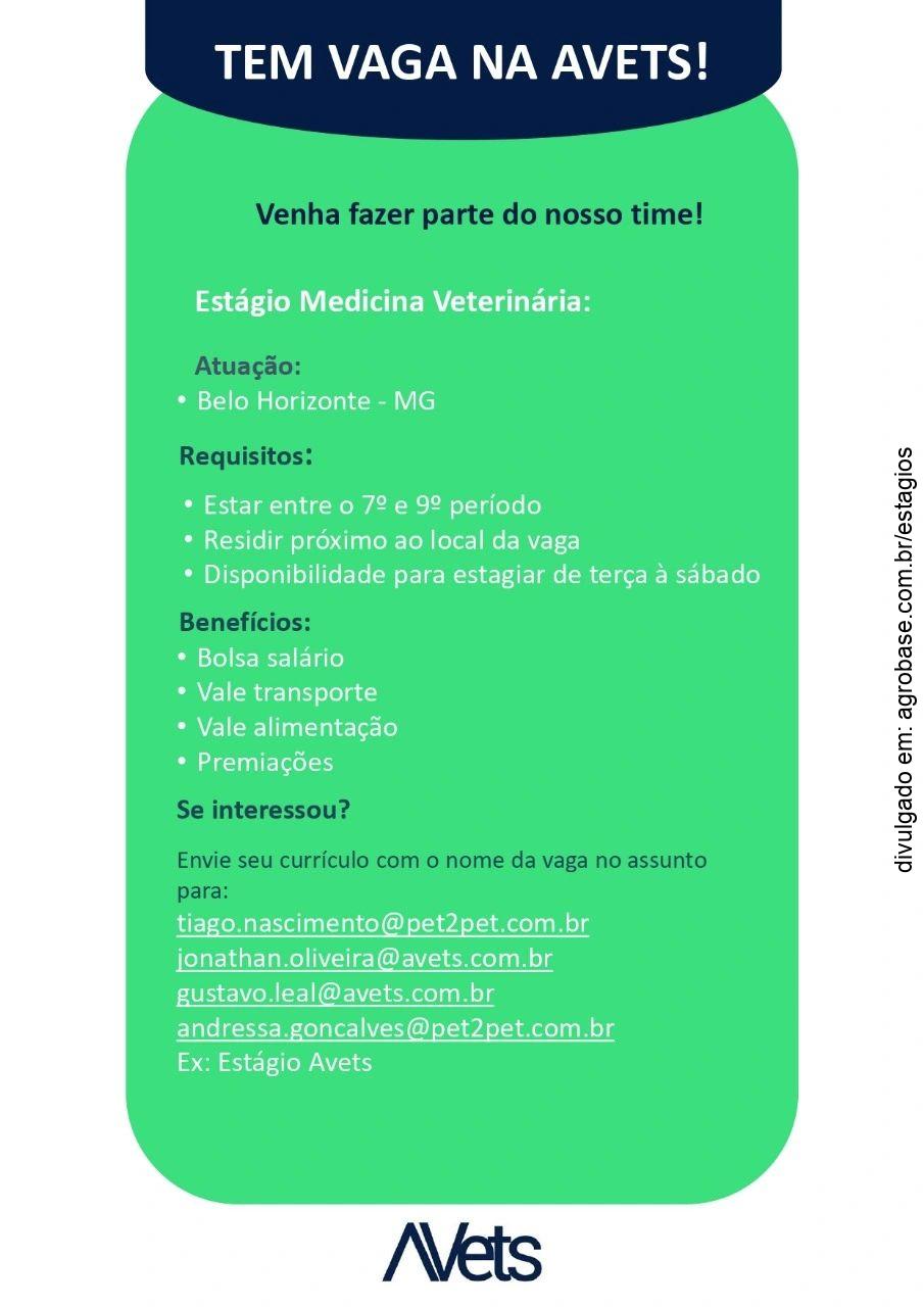 Estágio medicina veterinária – Belo Horizonte/MG