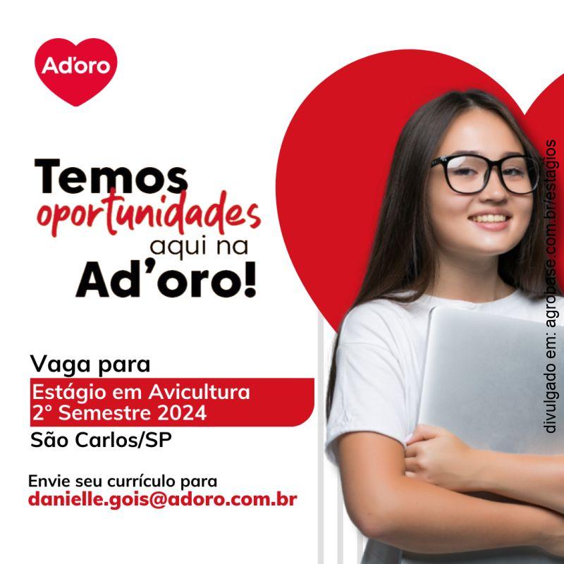 Estágio curricular em avicultura – São Carlos/SP