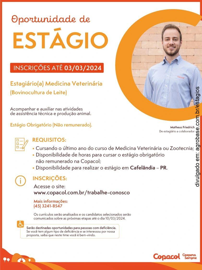 Estágio medicina veterinária (bovinocultura de leite) – Cafelândia/PR