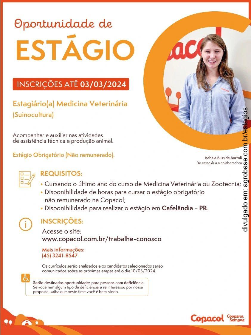 Estágio medicina veterinária (suinocultura) – Cafelândia/PR