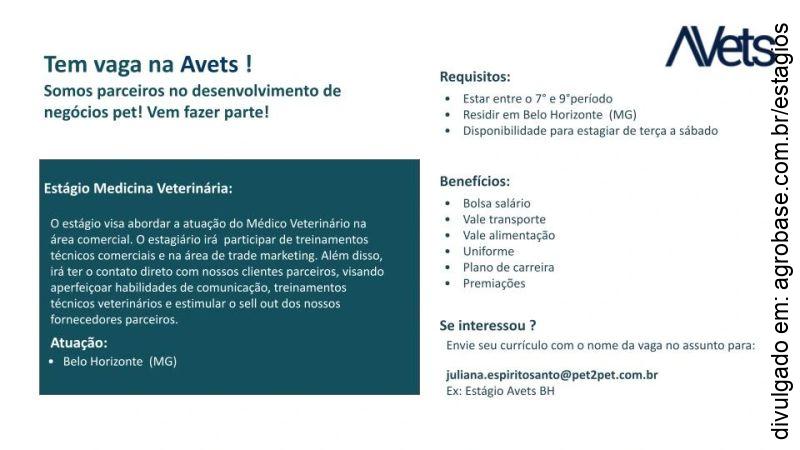 Estágio medicina veterinária – Belo Horizonte/MG