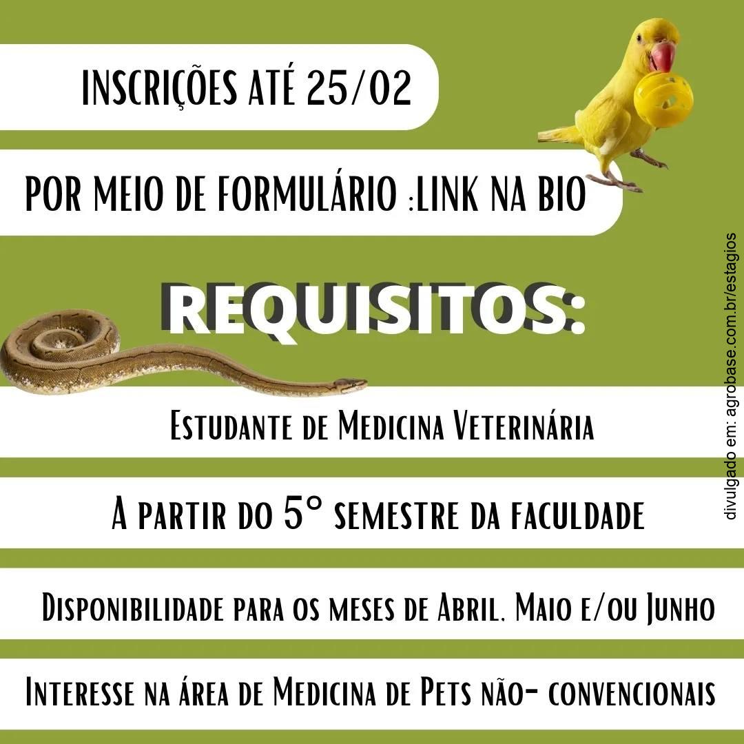 425755299 945803980435139 9081925050280604289 n