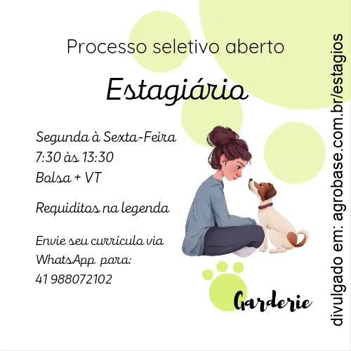 Estágio creche e hotel pet – Curitiba/PR