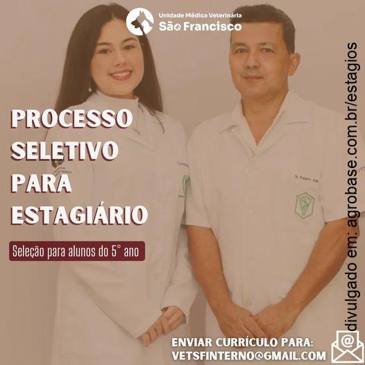 Estágio clínica médica de pequenos animais – Avaré/SP