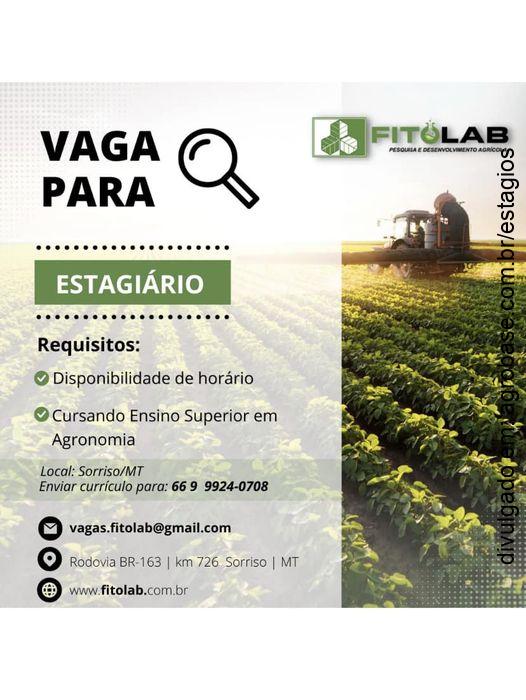 Estagiário agronomia – Sorriso/MT