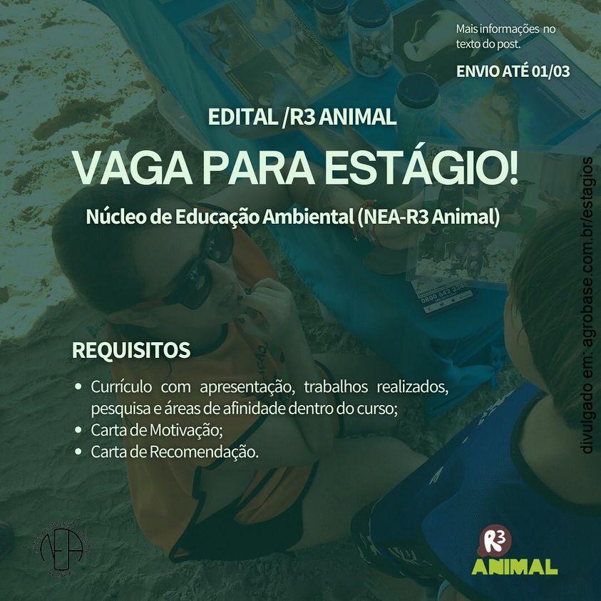 Estagiário para o núcleo de educação ambiental – Florianópolis/SC