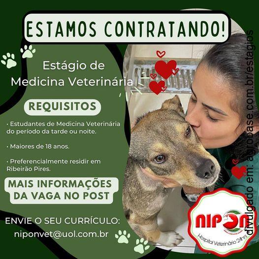 Estágio de medicina veterinária – Ribeirão Pires/SP
