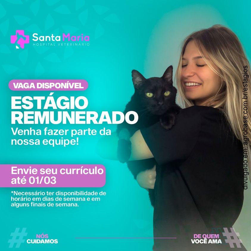 Estágio hospital veterinário – União da Vitória/PR