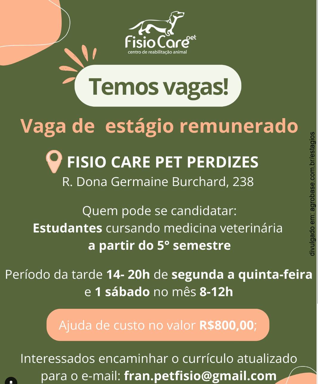 Estágio em fisioterapia veterinária – São Paulo/SP