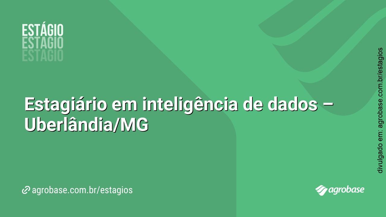 Estagiário em inteligência de dados – Uberlândia/MG