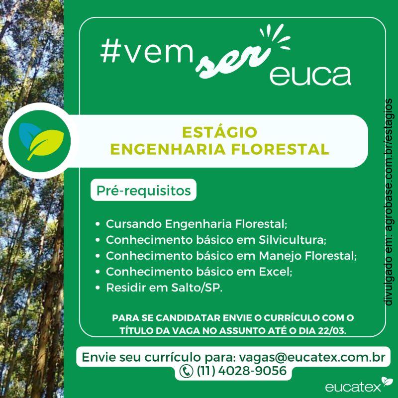 Estágio engenharia florestal – Salto/SP