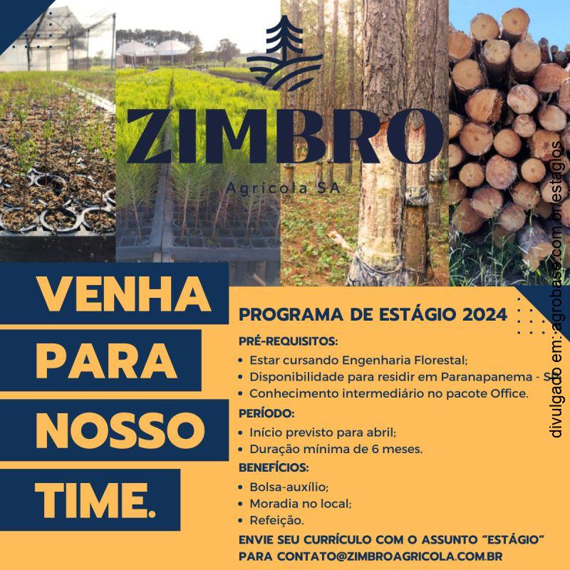 Programa de estágio eng. florestal 2024 – Paranapanema/SP
