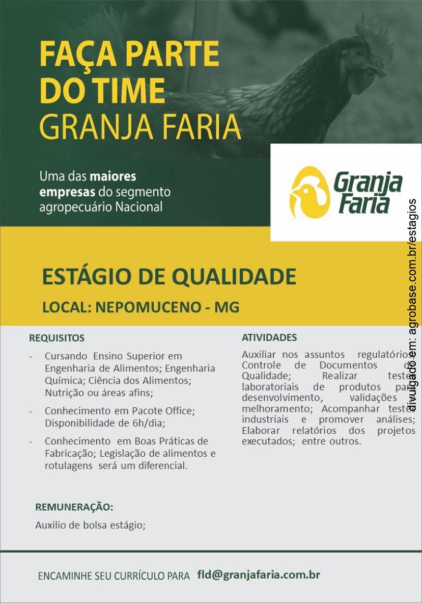 Estágio de qualidade – Nepomuceno/MG