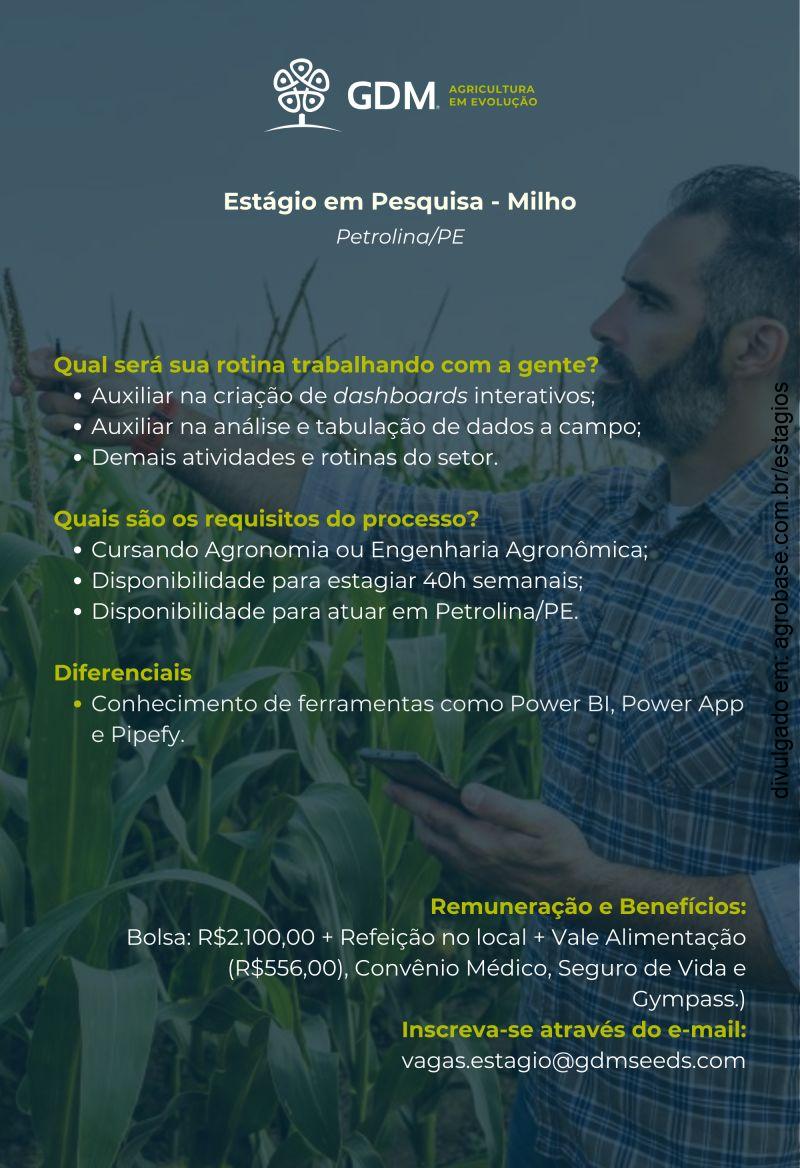 Estágio em pesquisa (milho) – Petrolina/PE