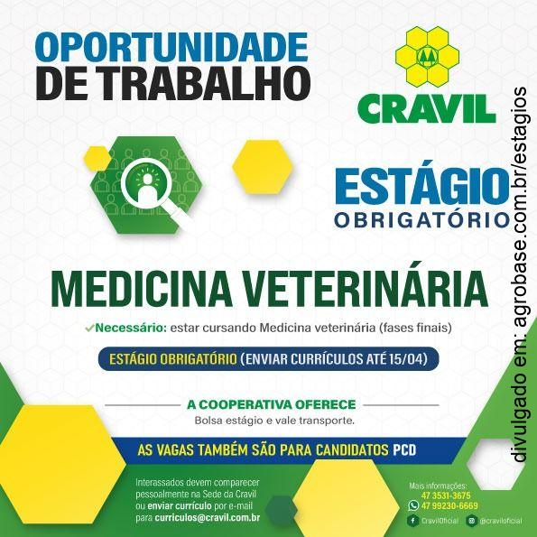Estágio obrigatório medicina veterinária – SC