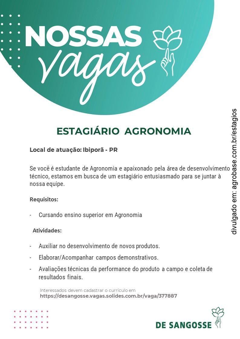 Estagiário de agronomia – Ibiporã/PR