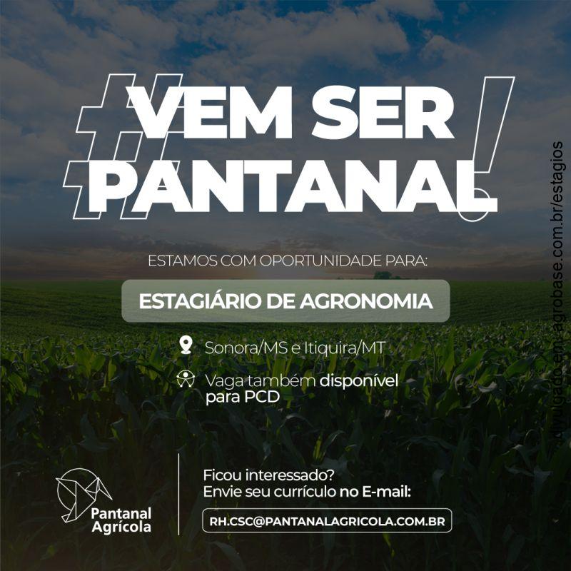 Estágio em agronomia – Sonora/MS e Itiquira/MT