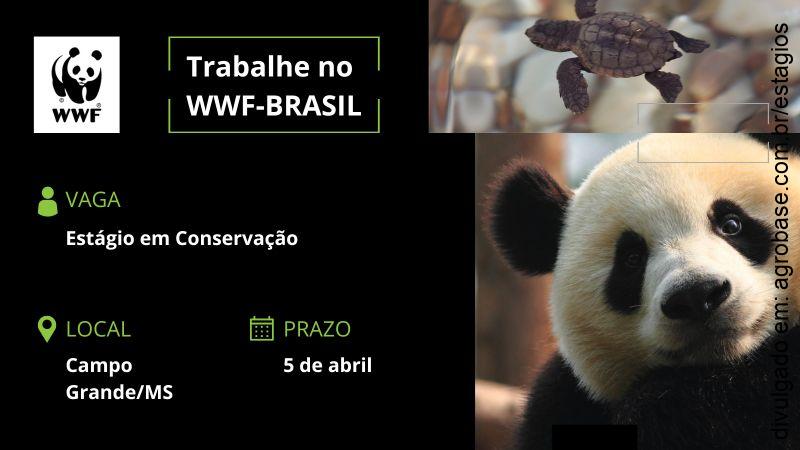 Estágio de conservação (áreas degradadas) – Campo Grande/MS