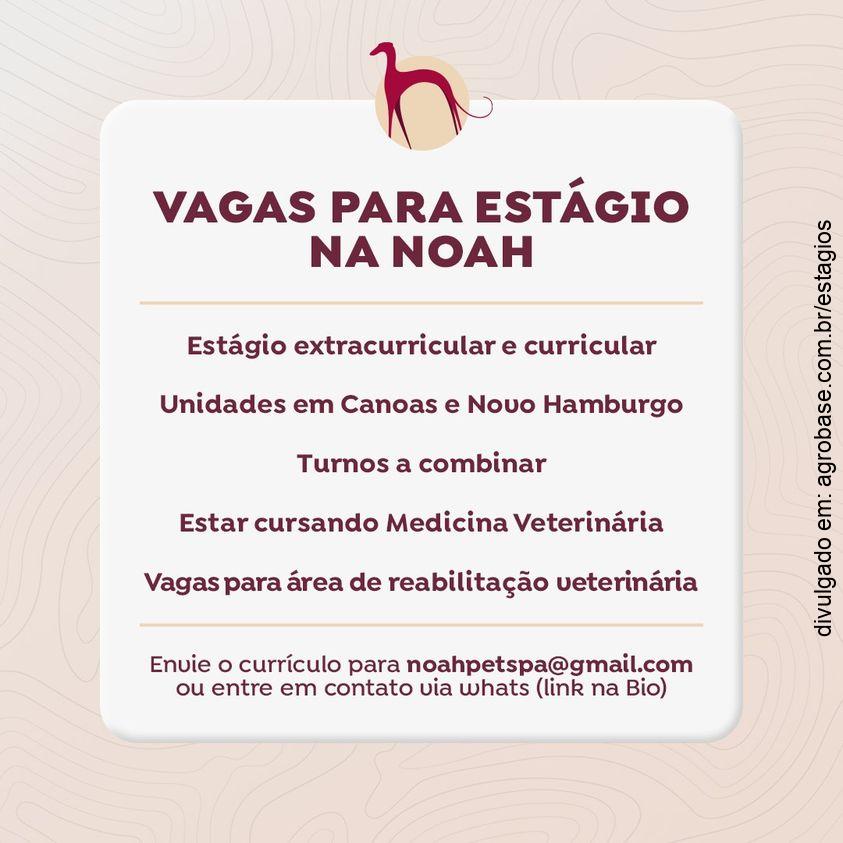Estágio para estudantes de medicina veterinária – RS
