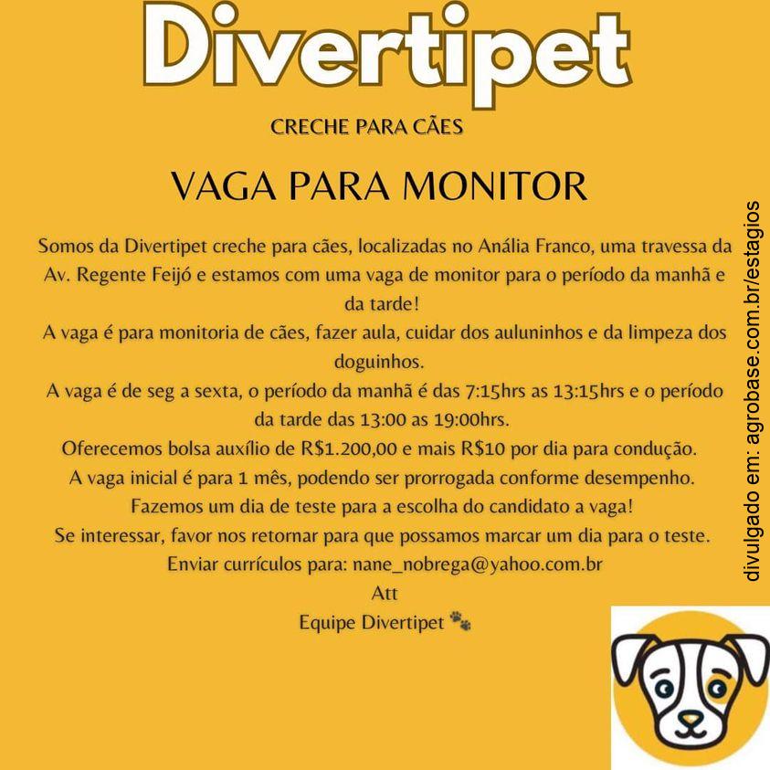 Monitor para creches de cães – São Paulo/SP