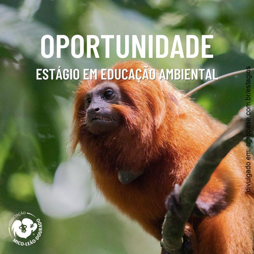 Estágio em educação ambiental – RJ