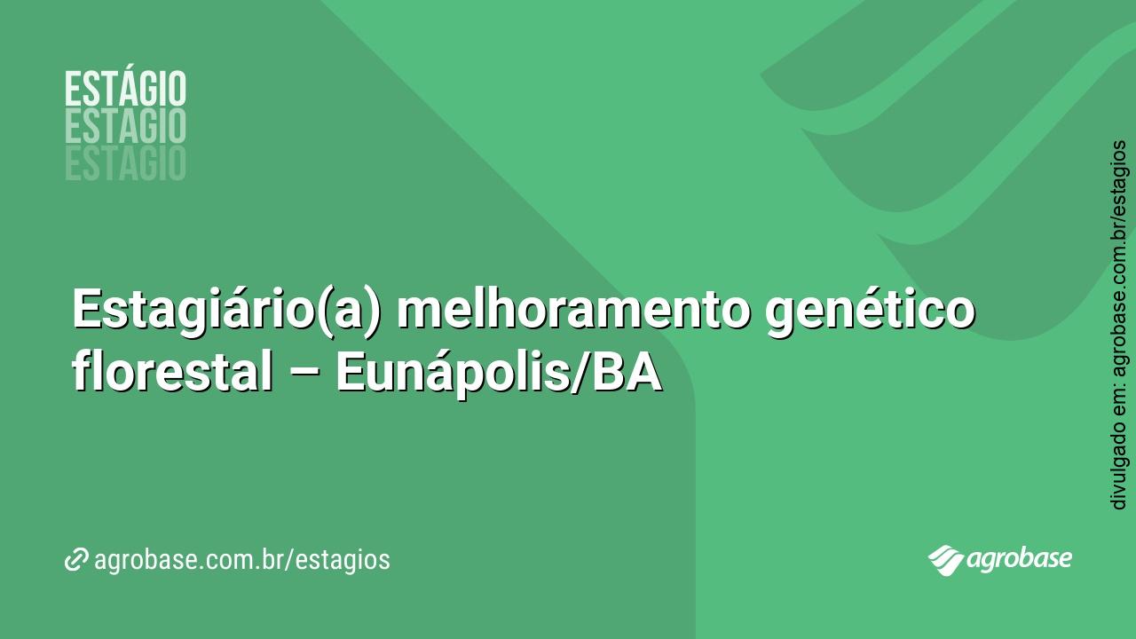 Estagiário(a) melhoramento genético florestal – Eunápolis/BA