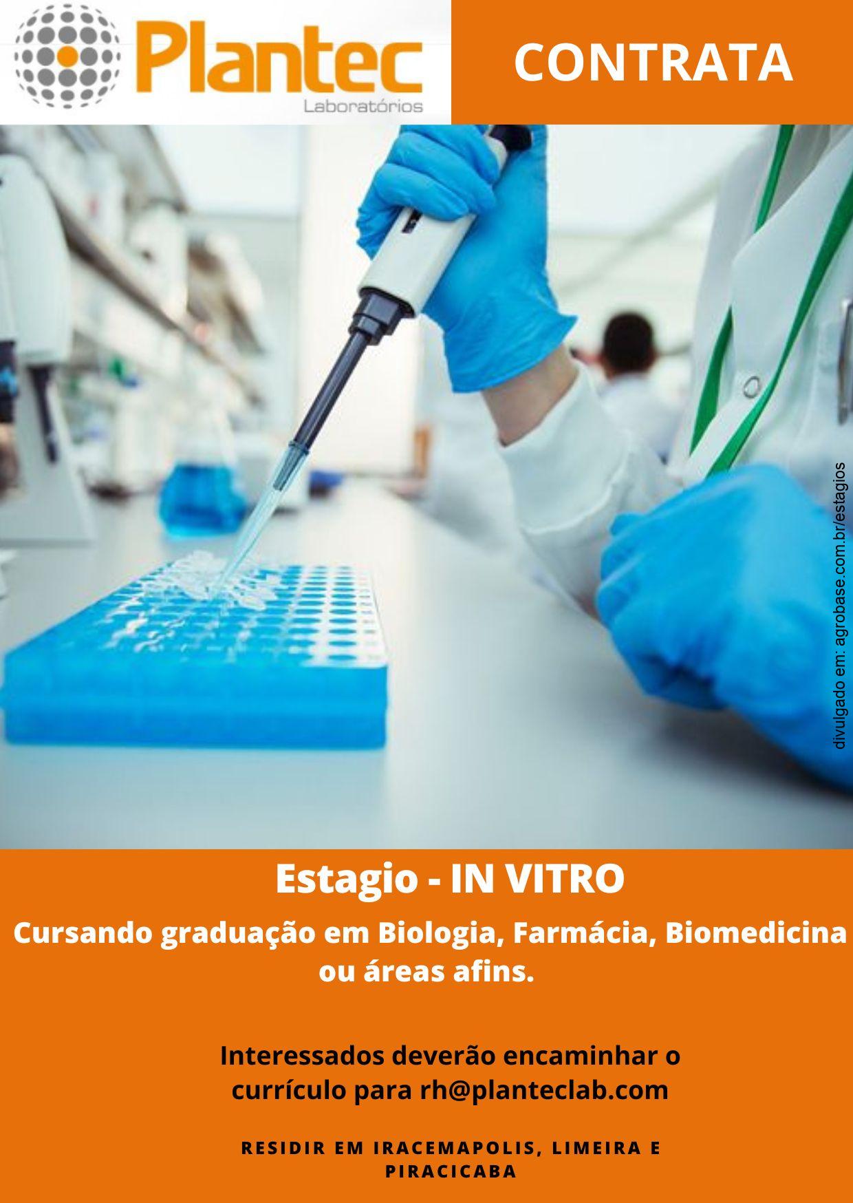 Estagiário in vitro – Iracemápolis, Limeira ou Piracicaba/SP
