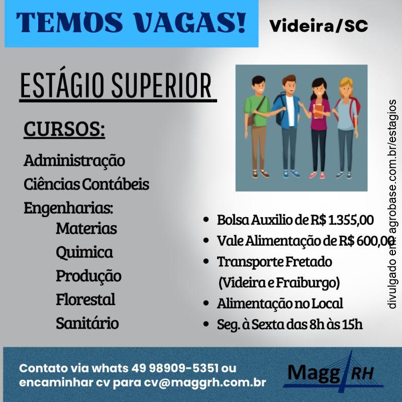 Estágio nível superior – Videira/SC