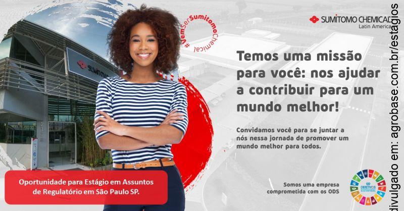 Estágio em assuntos de regulatórios – São Paulo/SP