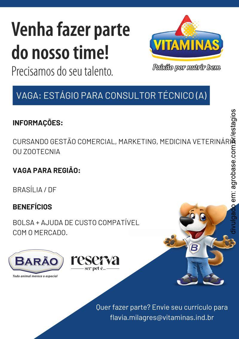 Estágio para consultor técnico – Brasília/DF