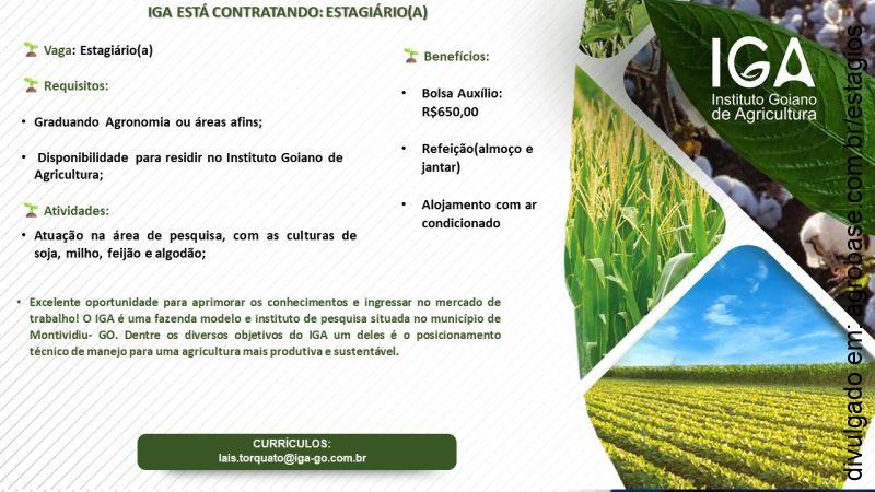 Estágio em agronomia – Montividiu/GO