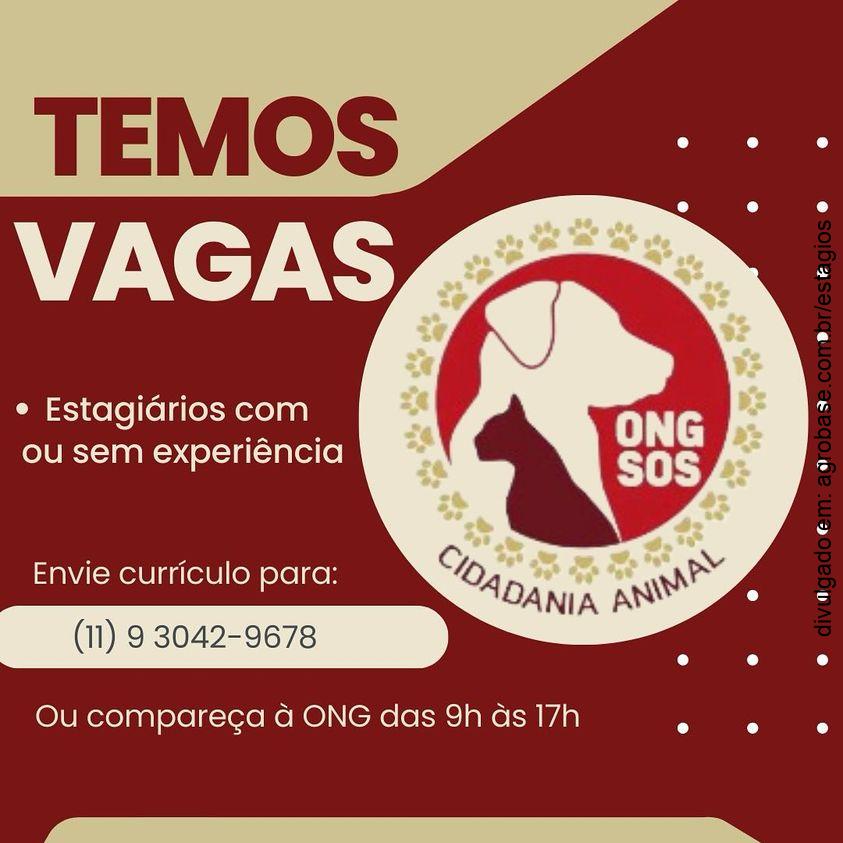 Estágio em veterinária – São Caetano do Sul/SP