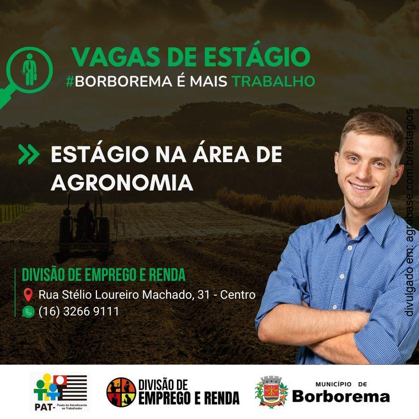 Estágio na área de agronomia – Borborema/SP