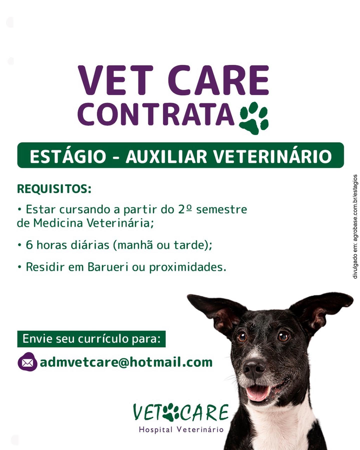 Estágio auxiliar veterinário – Barueri/SP