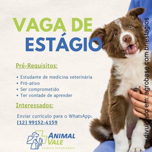 Estágio veterinária – São José dos Campos/SP
