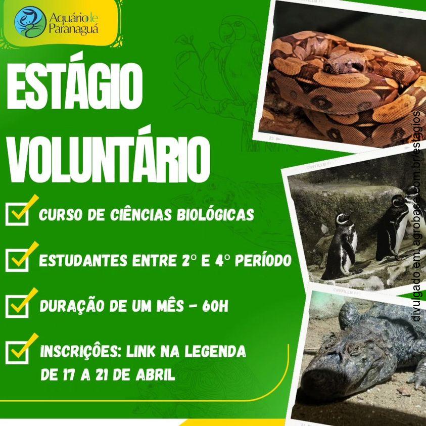06 vagas estágio voluntário de biologia – Paranaguá/PR