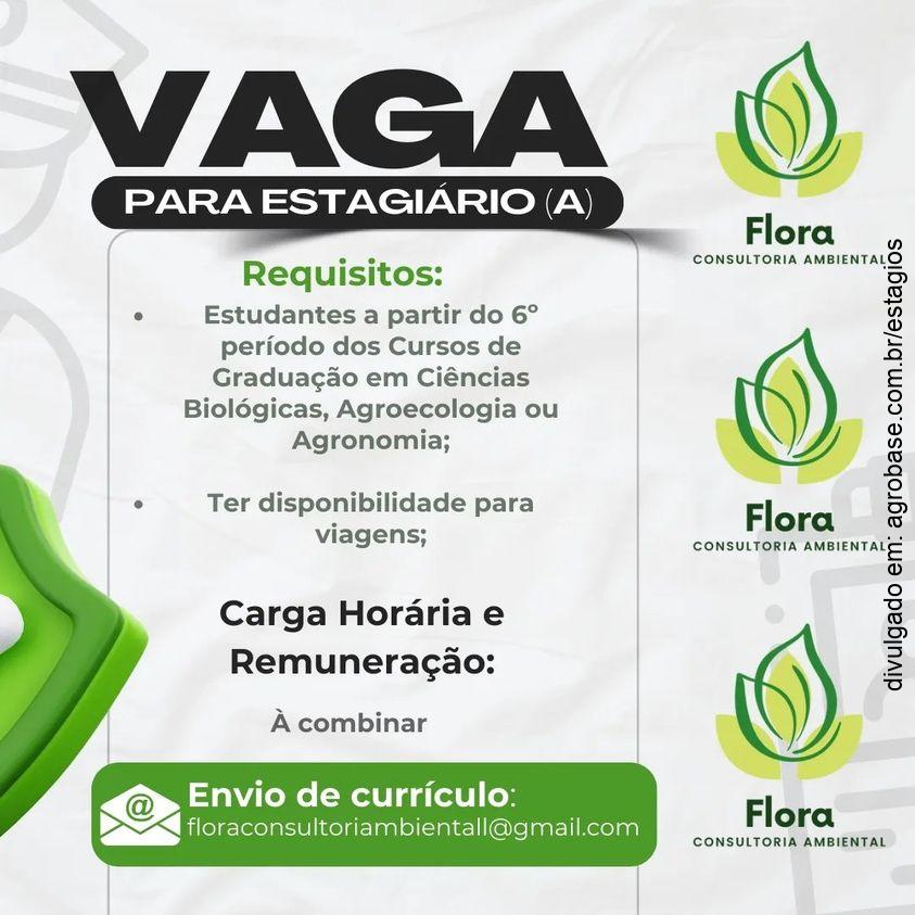 Estágio em consultoria ambiental – Areia/PB