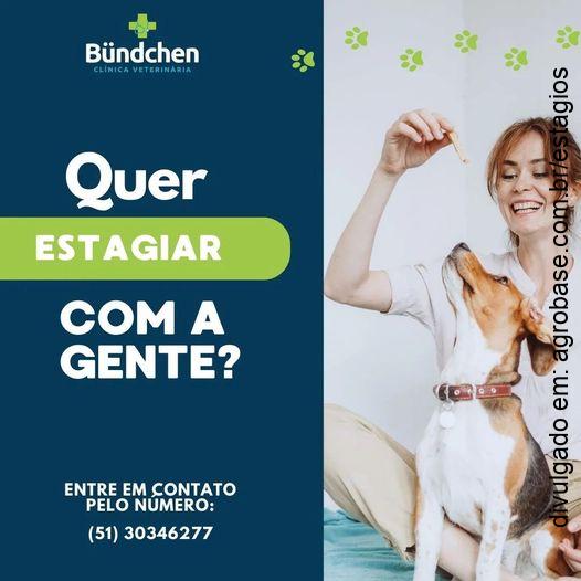 Estágio em medicina veterinária – Sapucaia do Sul/RS