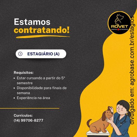Estágio veterinária – Ipaussú/SP