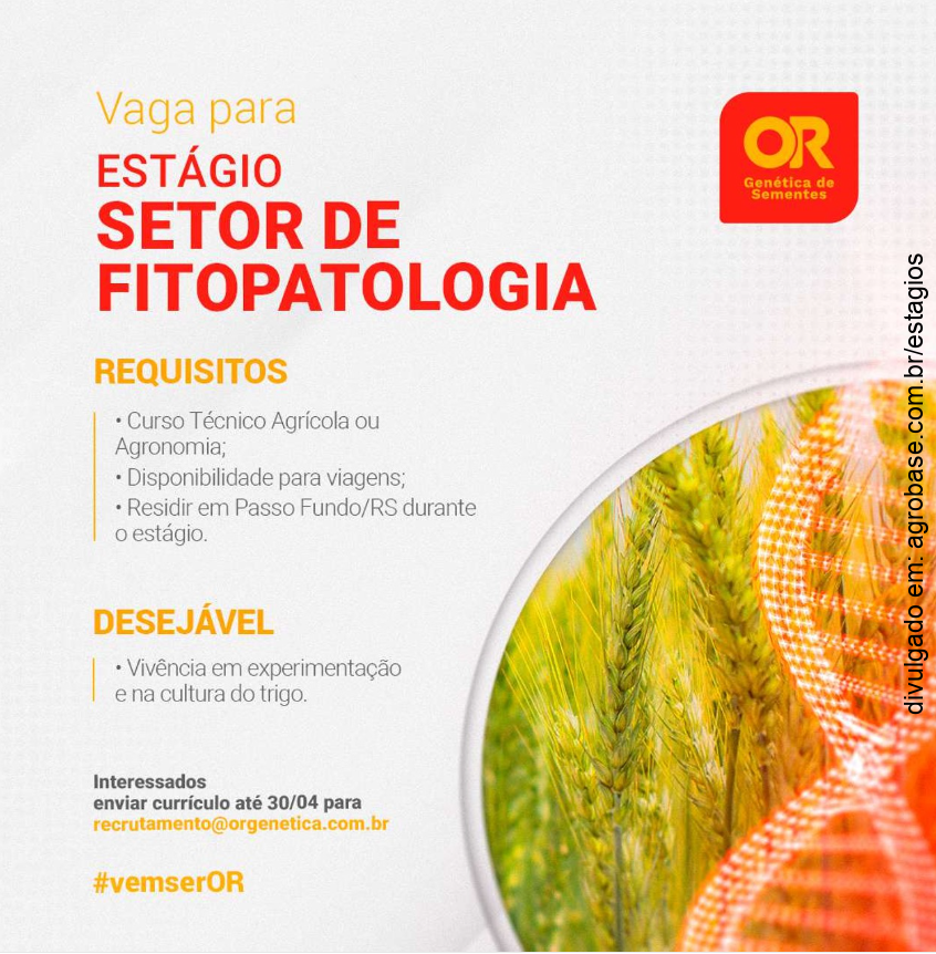 Estágio no setor de fitopatologia – Passo Fundo/RS
