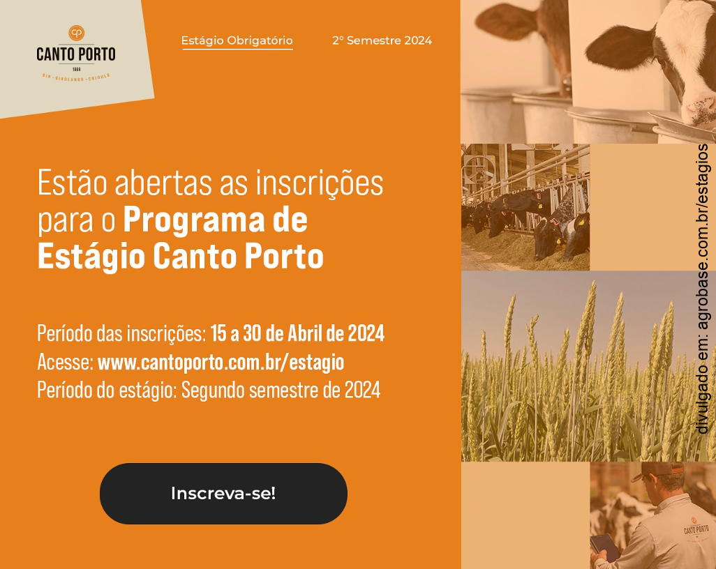 Programa de estágio obrigatório Canto Porto – SP