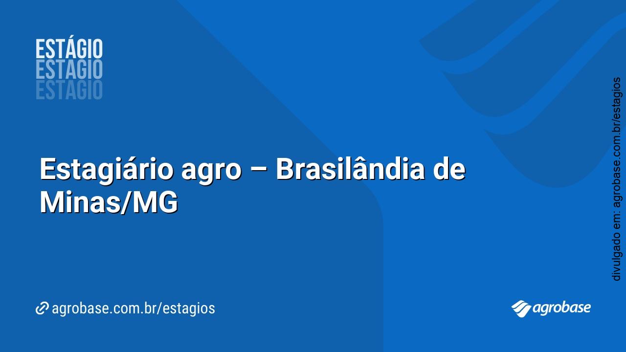 Estagiário agro – Brasilândia de Minas/MG