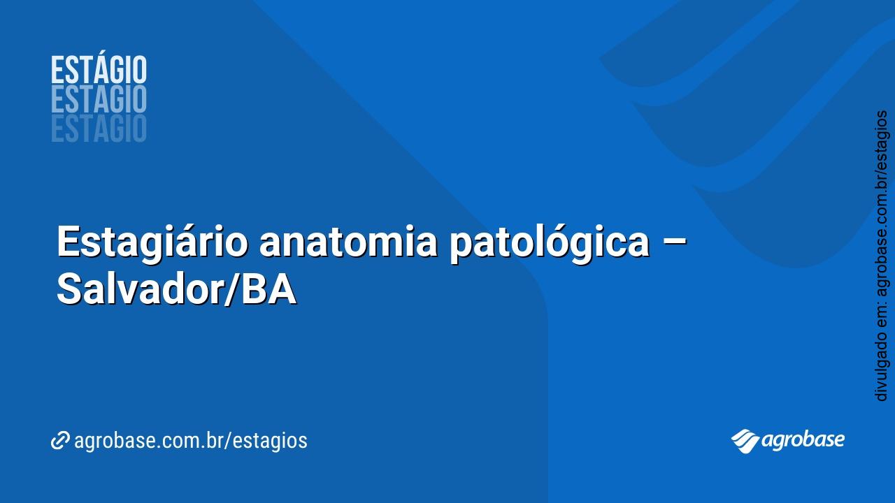 Estagiário anatomia patológica – Salvador/BA