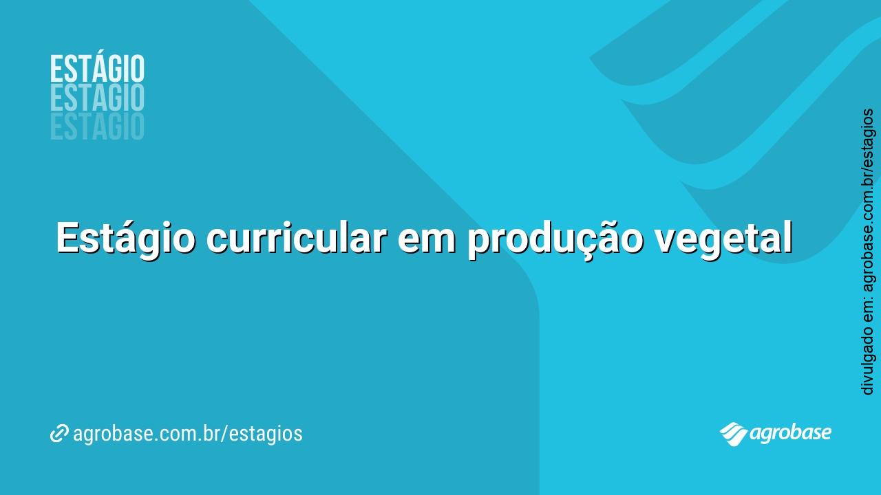 Estágio curricular em produção vegetal