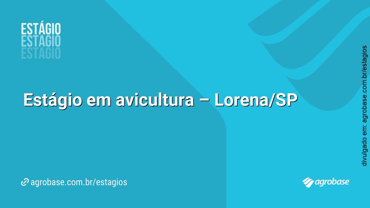 Estágio em avicultura – Lorena/SP