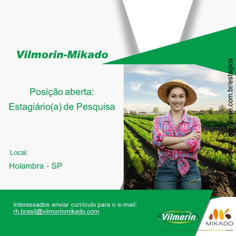 Estagiário de pesquisa – Holambra/SP